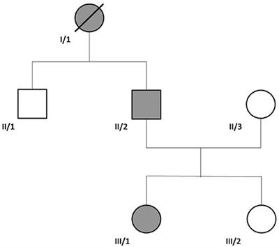 NKX2-1 New Mutation Associated With Myoclonus, Dystonia, and Pituitary Involvement